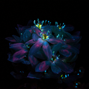 入室强奸美女人啊啊在線播放
